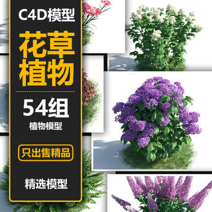 54组树木花朵植物盆栽景观植物花卉C4D模型3D三维素材含材质库