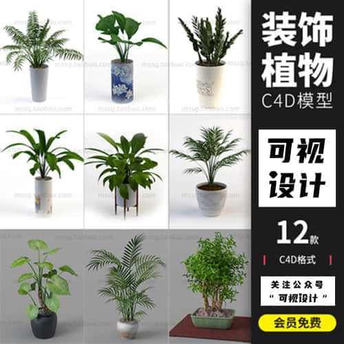 12款室内装饰植物C4D模型素材