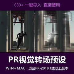 PR预设-650种运动失真变形转场和画面信号干扰破损发光视觉特效