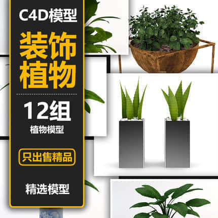 12款室内装饰植物C4D模型素材