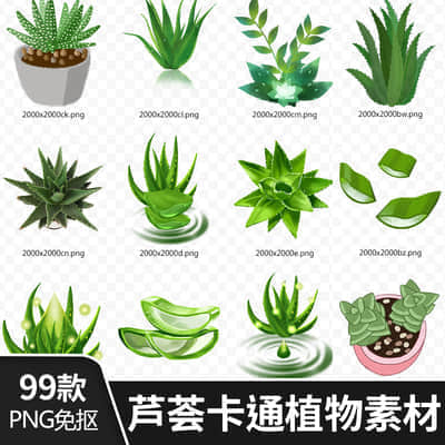 【PNG免抠 】手绘卡通芦荟植物盆栽花盆水彩仙人掌插画设计素材