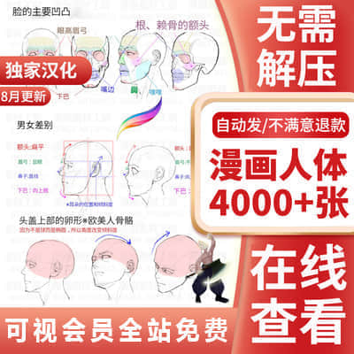 【漫画人体】4000+张pixiv漫画素材工房图解CG动漫人体体块结构动作姿态画法线稿素材