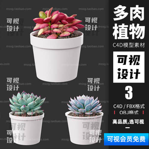 【多肉植物模型】C4D多肉植物盆景栽绿植室内观赏装饰摆件模型3D渲染OC素材